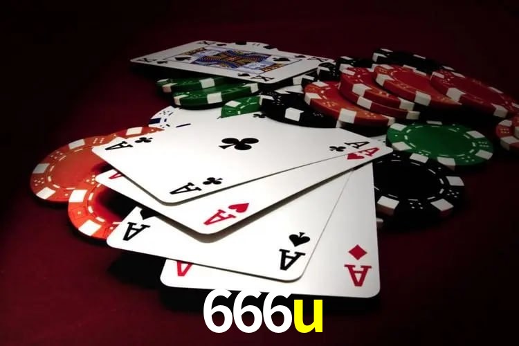 Experiência VIP 666u